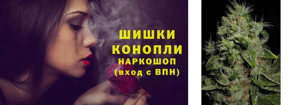 spice Абинск