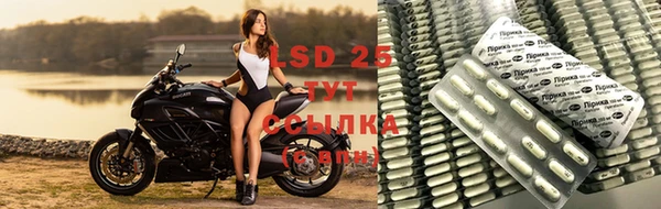 spice Абинск